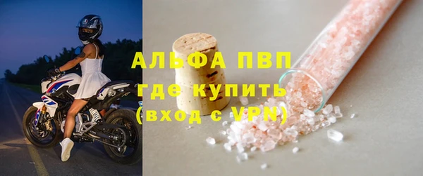 СК Алексин