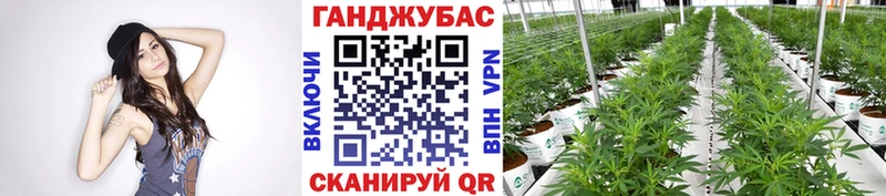 Бошки марихуана THC 21% Арсеньев